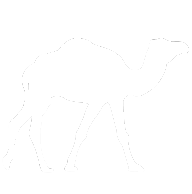 White Camel