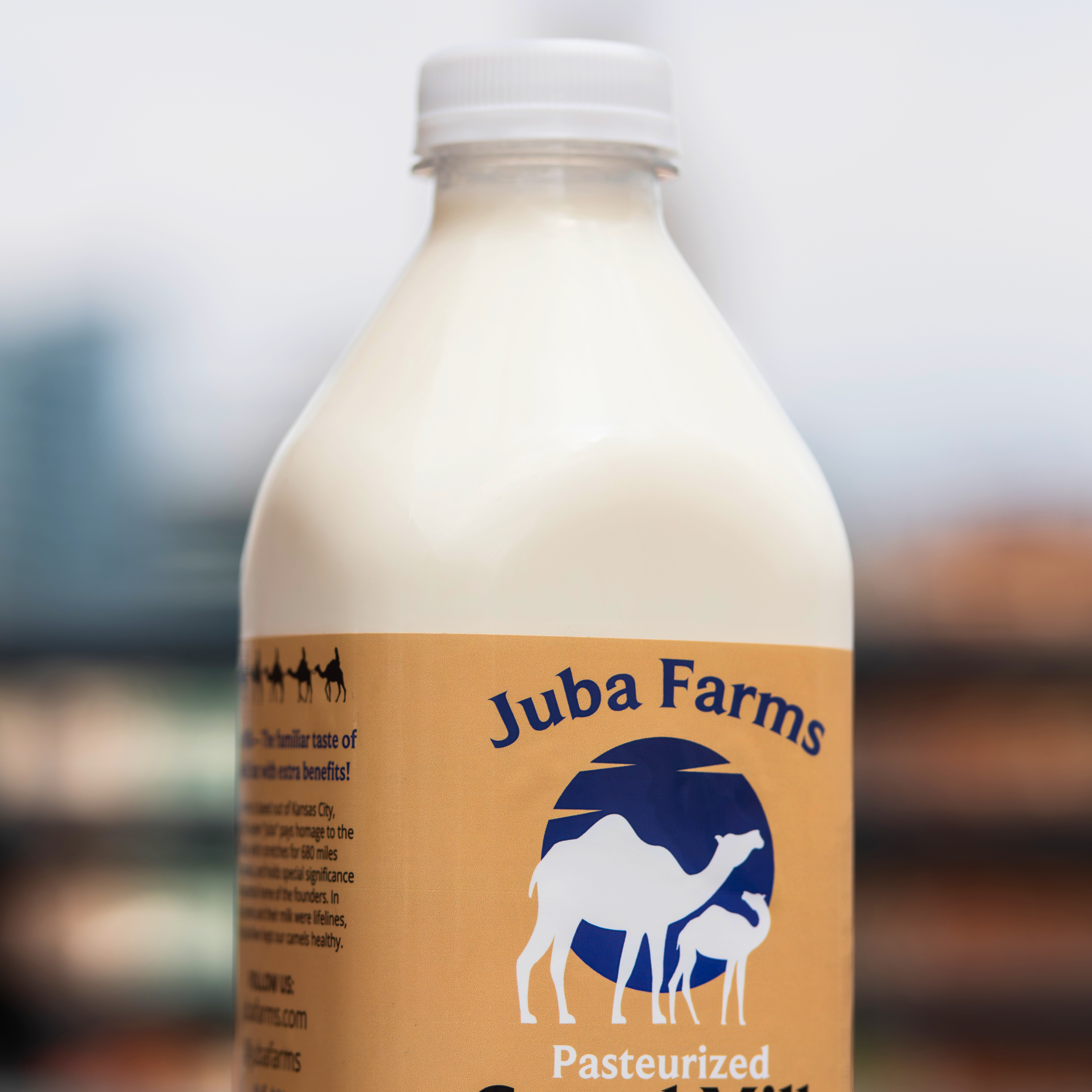 Camel Milk (1 Liter)