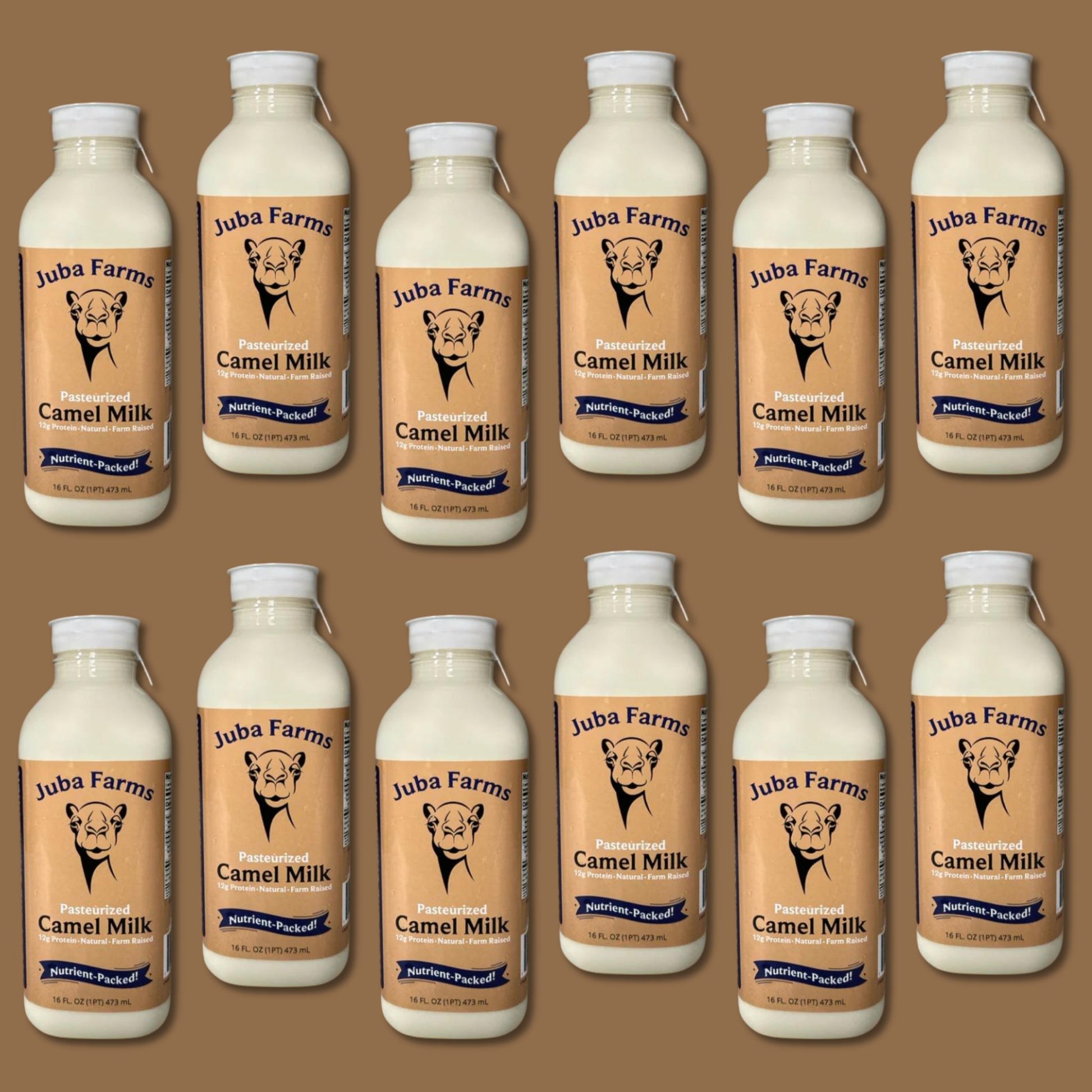 Farm Bottled Camel Milk (16 oz) - Juba Farms