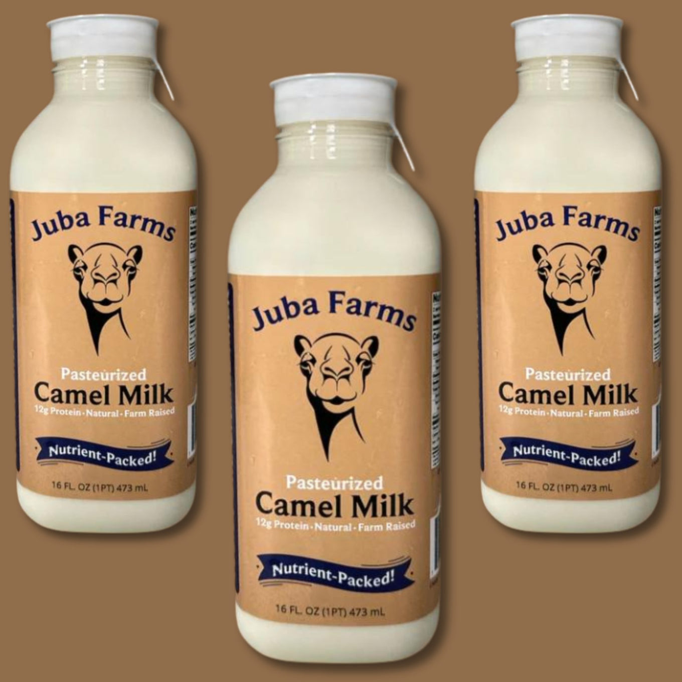 Farm Bottled Camel Milk (16 oz) - Juba Farms